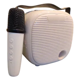 Image of product IKARAOKE BOX PROFESSIONAL SYSTEM 10W 3 INCH BTS-1955 BRODU