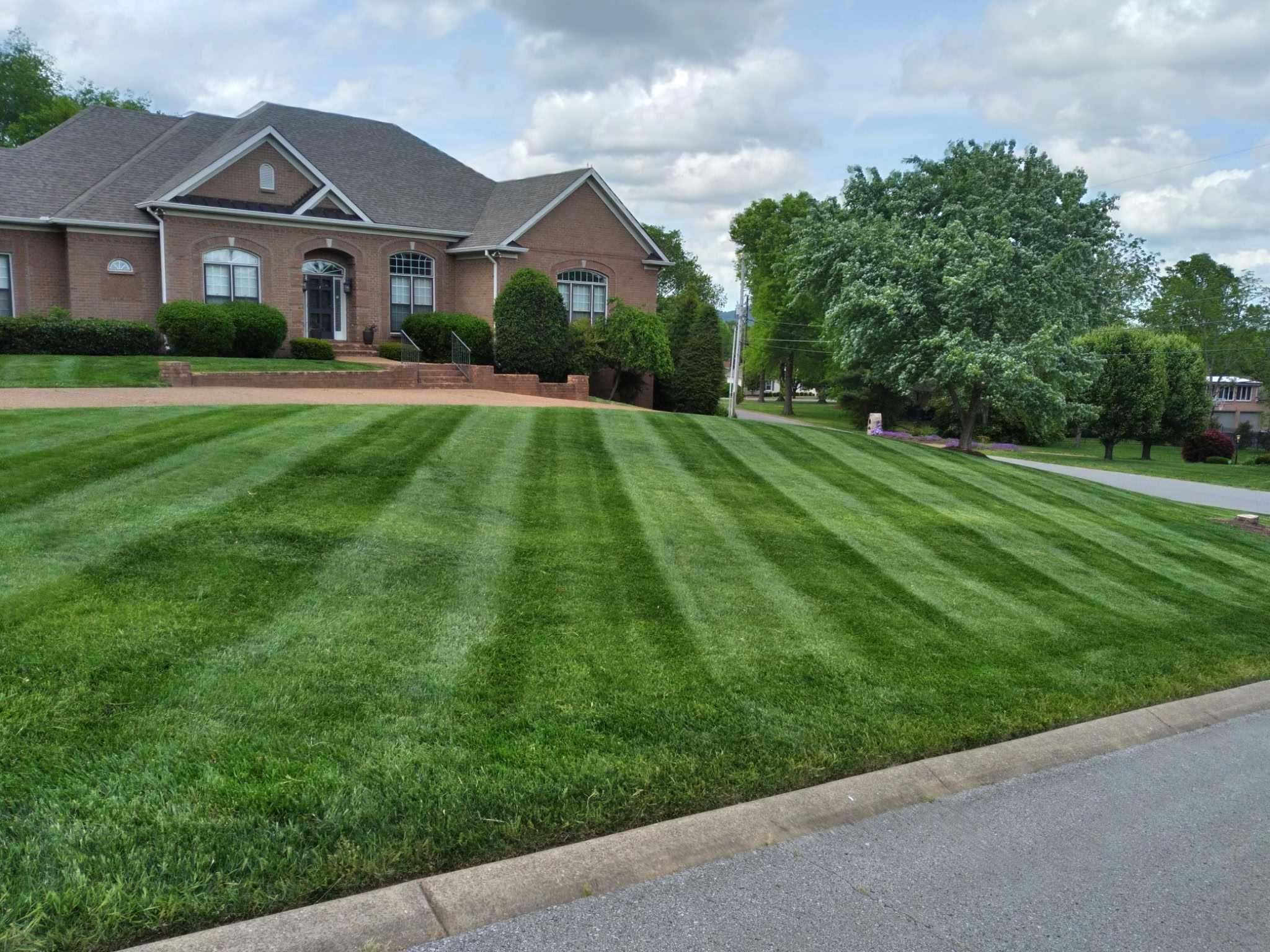 Landscaping job photo