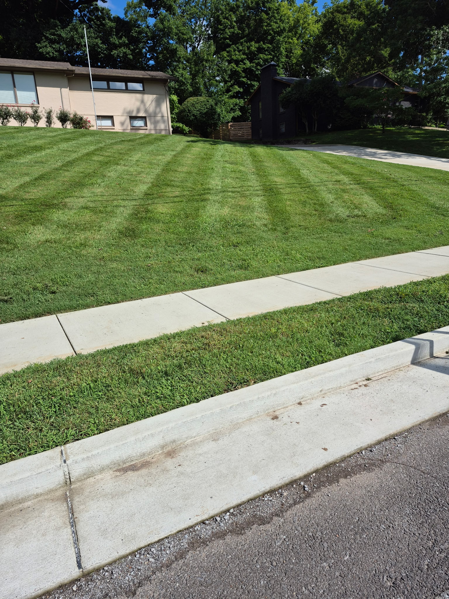 Landscaping job photo