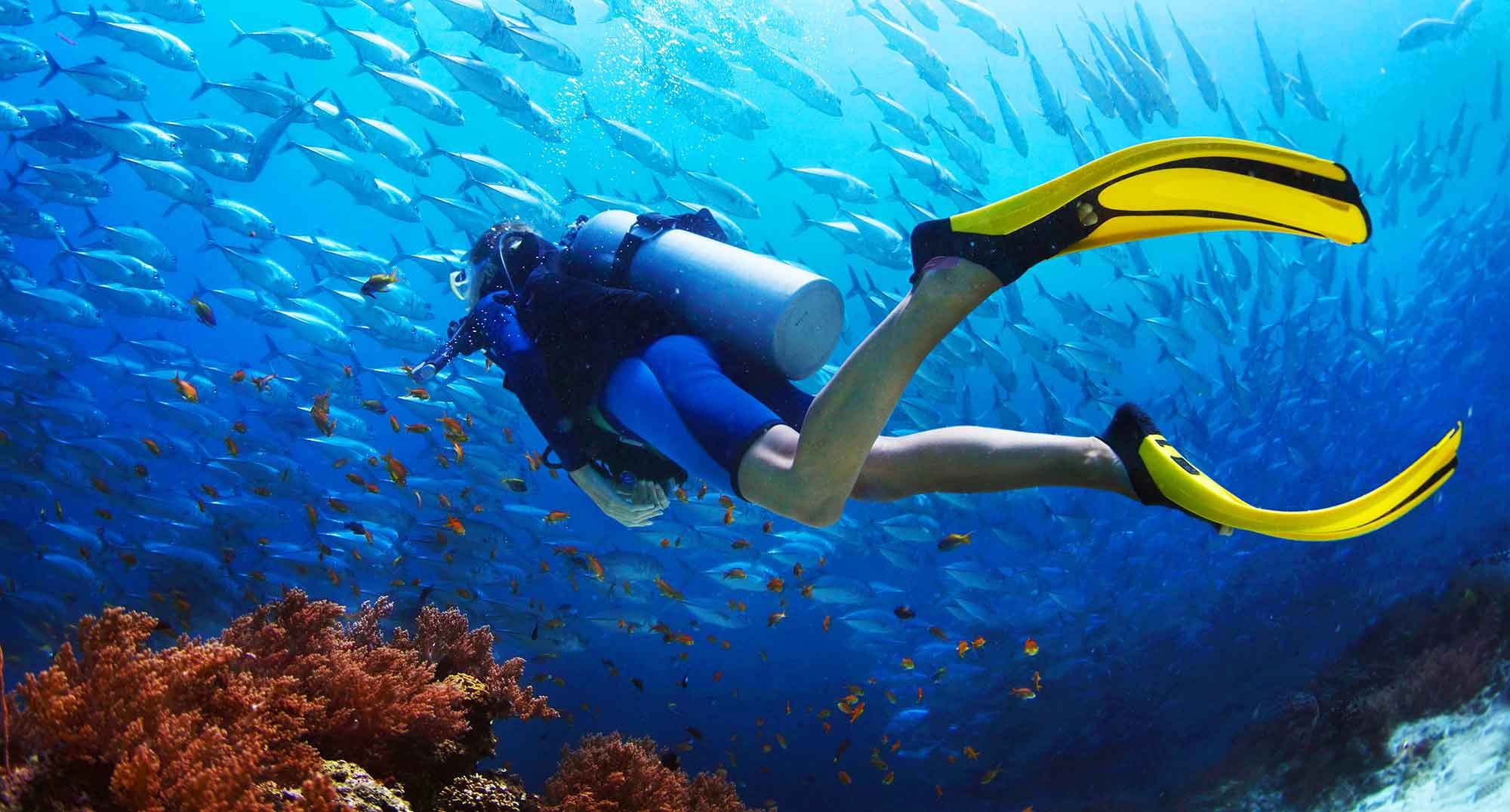 BUCEO / SCUBA