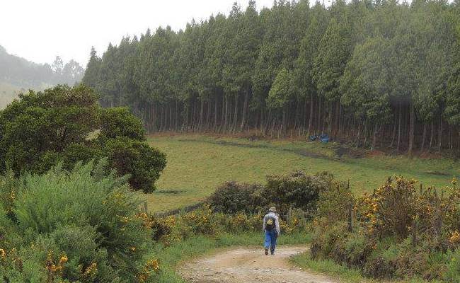 CASCADA LA CHORRERA