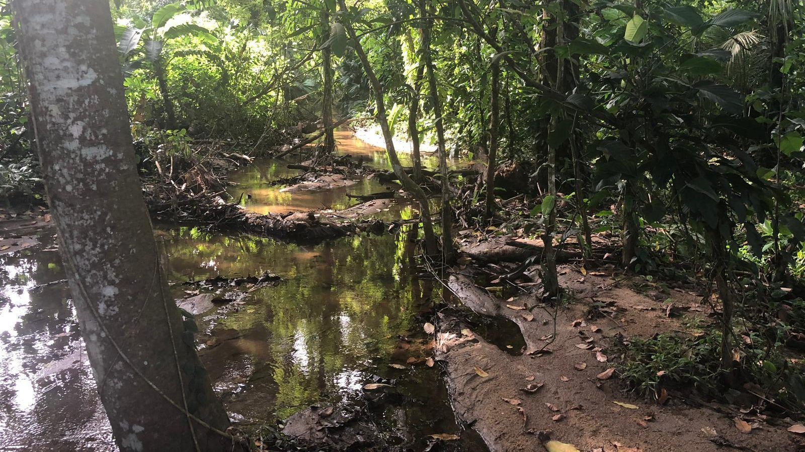 TOUR PARQUE TAYRONA