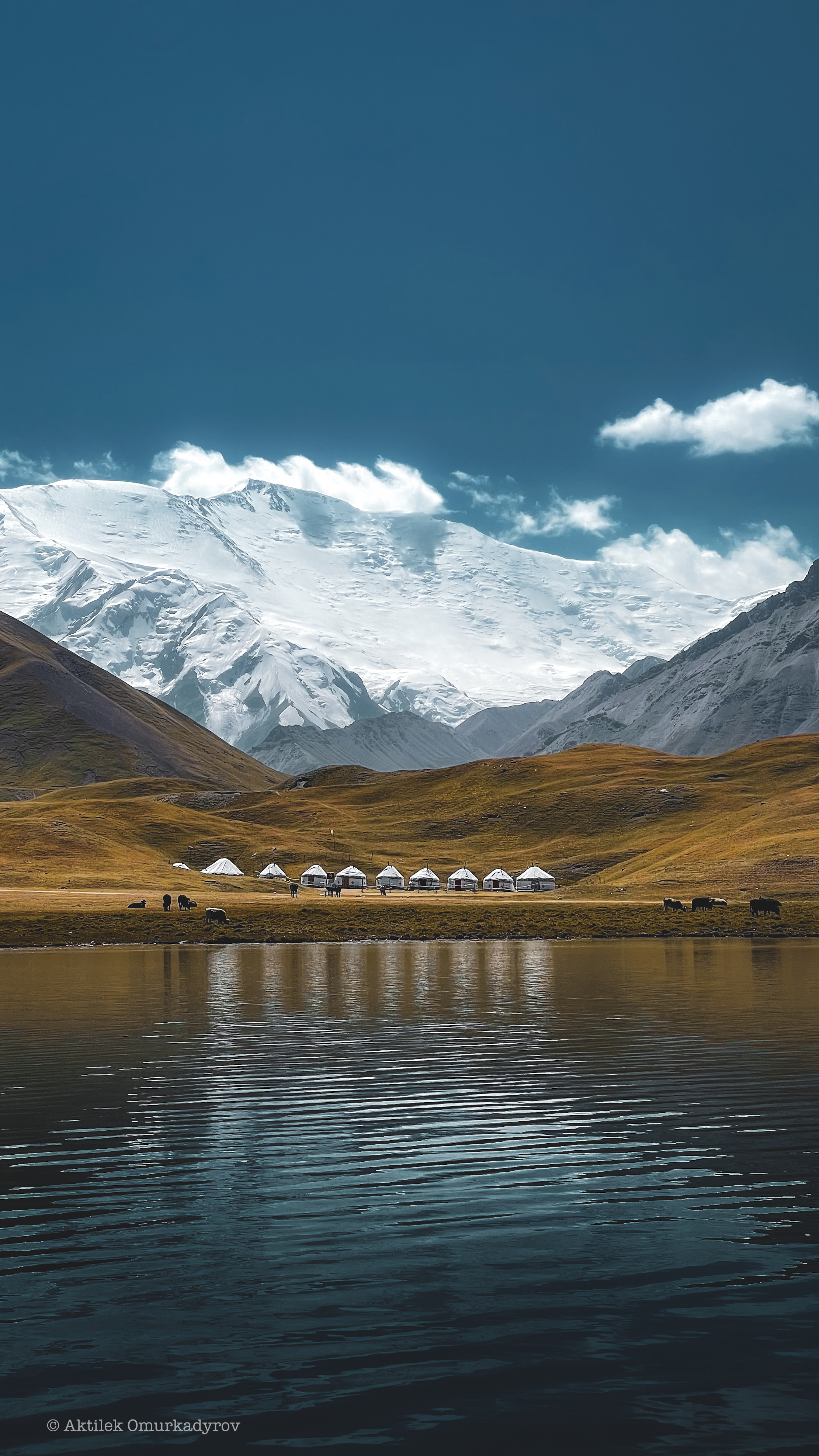 Треккинг-тур по Алайским горам — это захватывающее путешествие в самое сердце Памиро-Алайской горной системы. Маршрут объединяет высокогорные перевалы, альпийские озёра, просторные долины и аутентичный уклад жизни кочевых народов.

Тур предназначен для любителей природы и физически подготовленных путешественников и открывает одни из самых живописных и при этом малоизученных регионов Кыргызстана.

В рамках тура вы:
• преодолеете перевалы высотой более 4 000 метров;
• насладитесь панорамными видами на пик Ленина;
• проведёте ночи в традиционных юртовых лагерях;
• познакомитесь с повседневной жизнью местного населения;
• ощутите полное единение с природой.