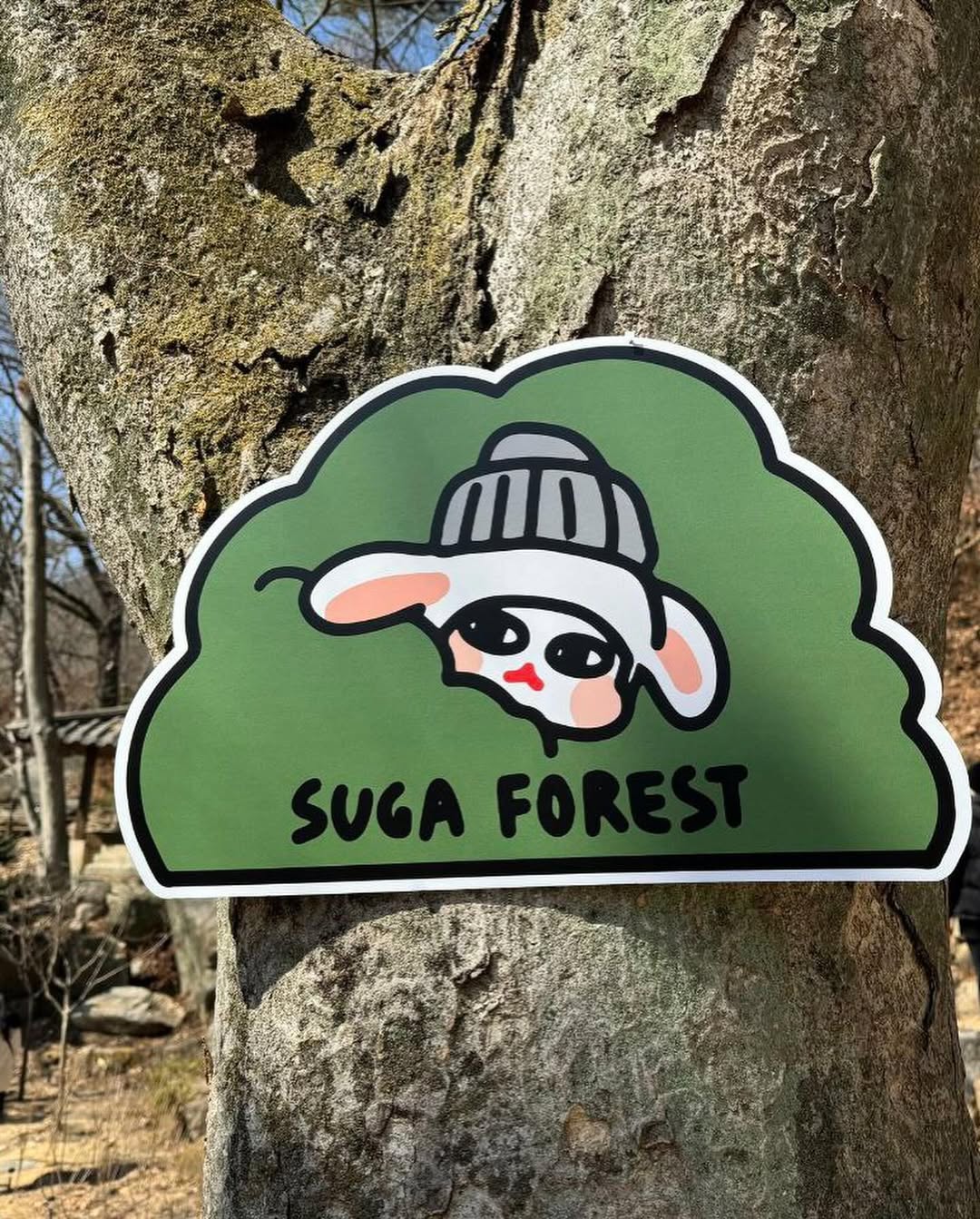 SUGA Forest
Bukhansan National Park