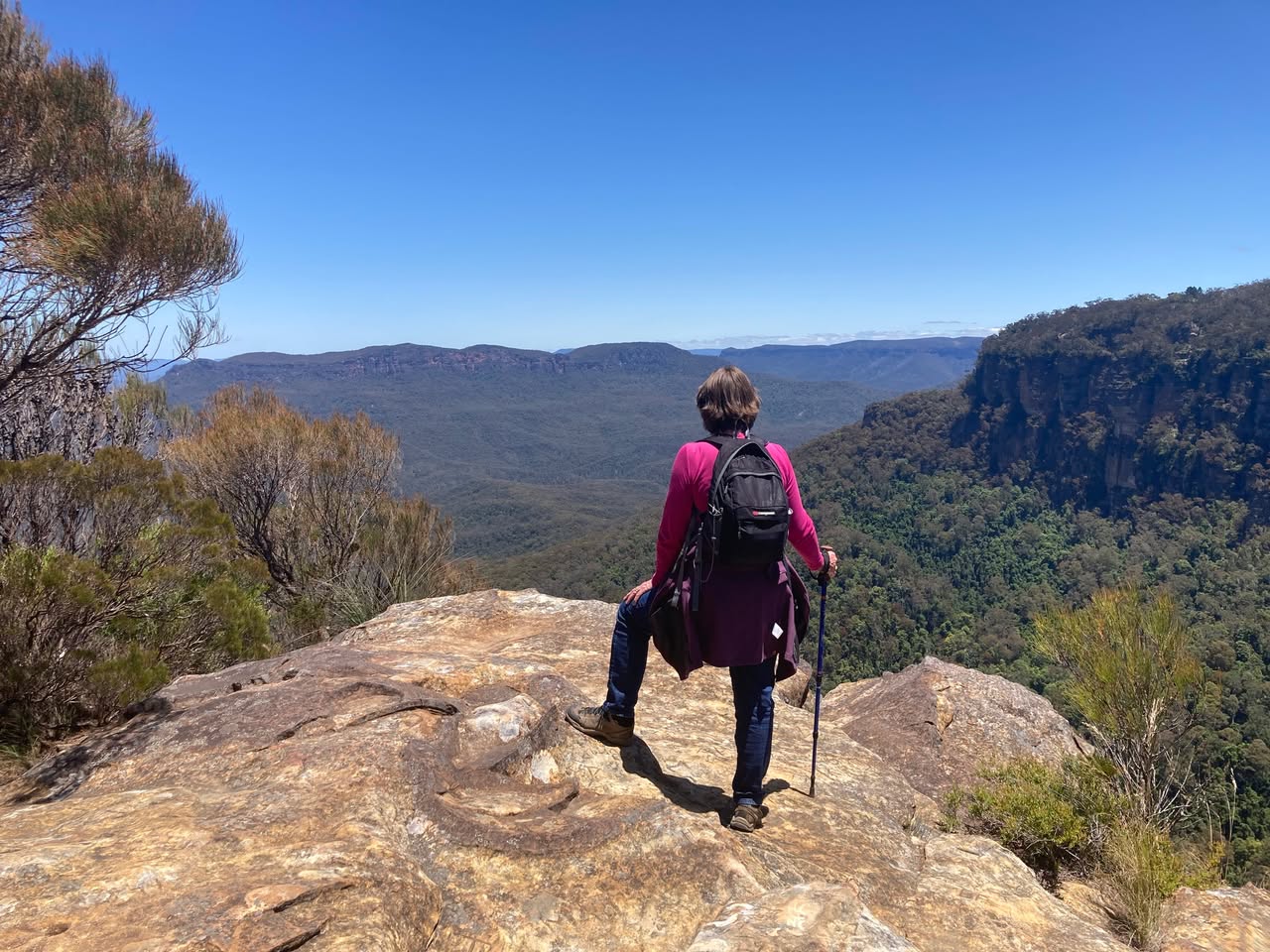 Gladstone Lookout & Moya Point