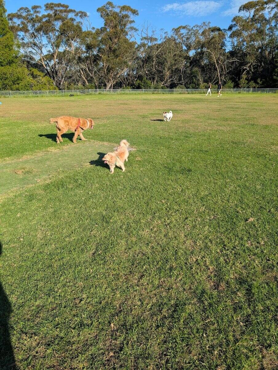 Old Hat Hill Airstrip