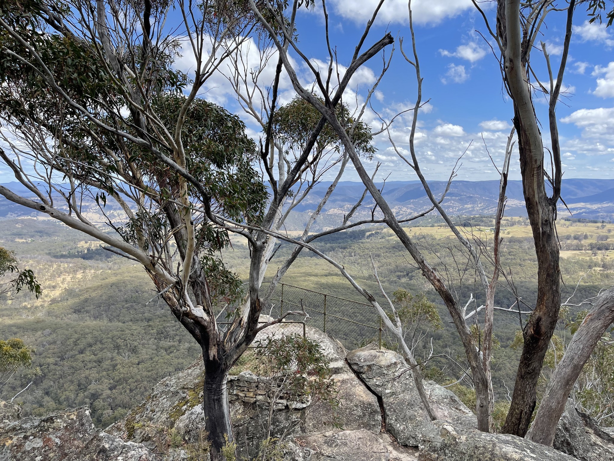 Panorama Point Lookout