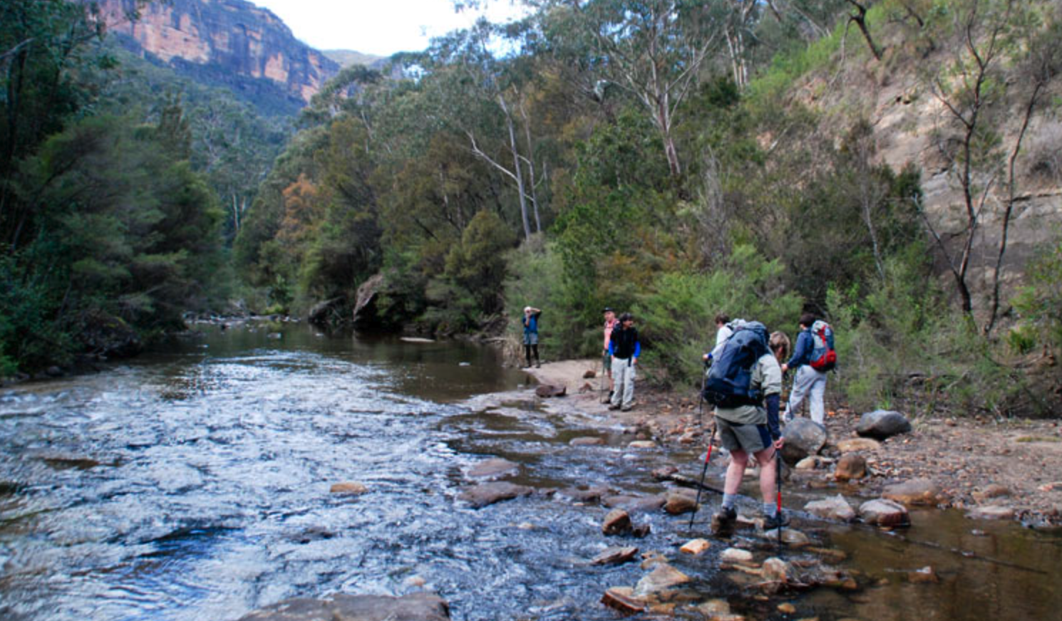 Pierces Pass to Blue Gum Forest walking track