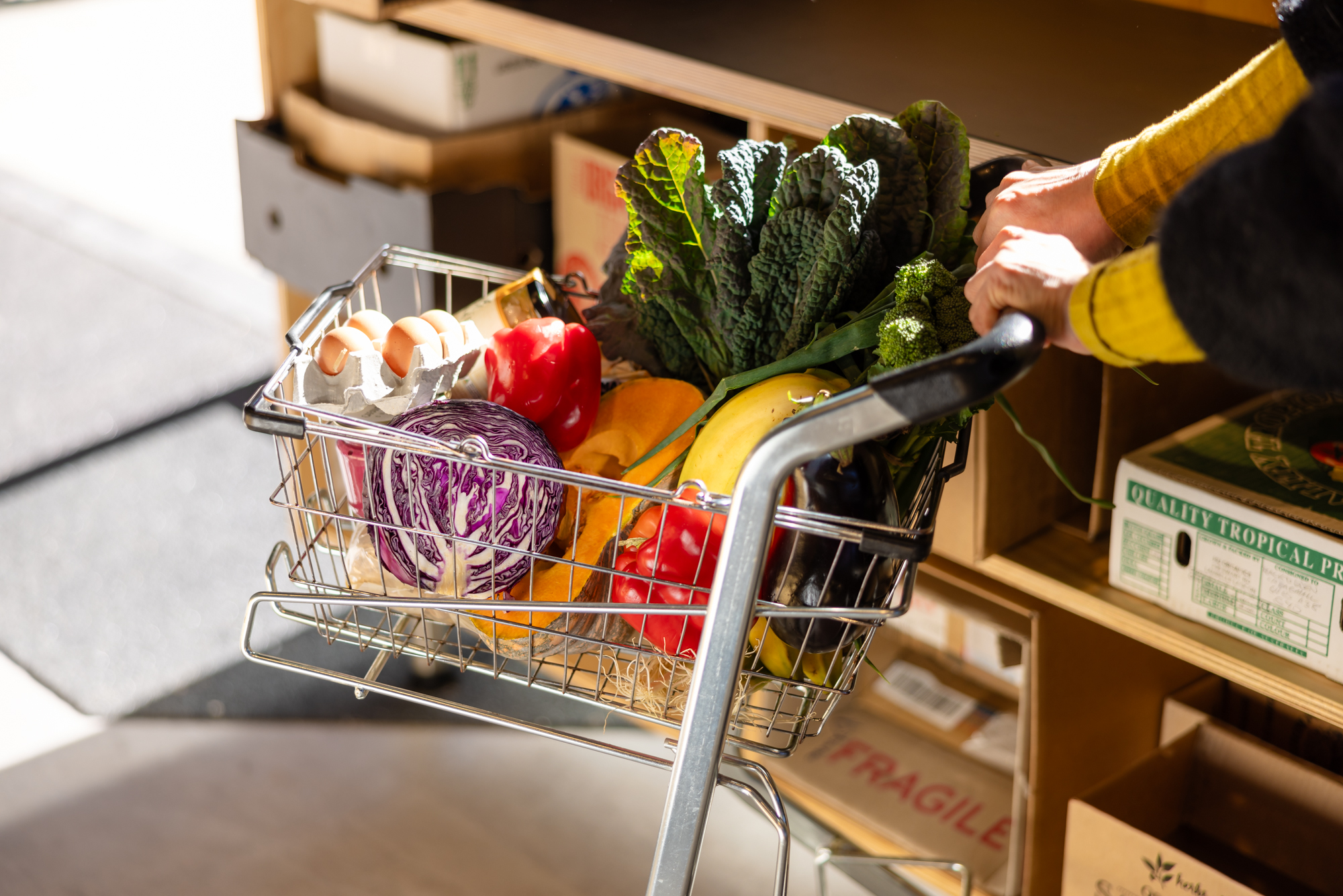 Blue Mountains Food Co-op