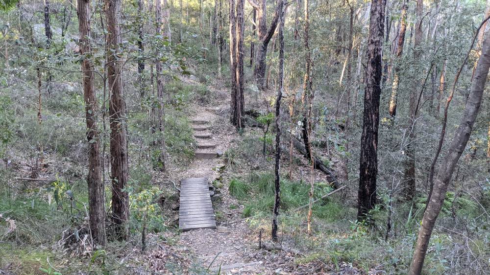 Jackson Park Short Track
