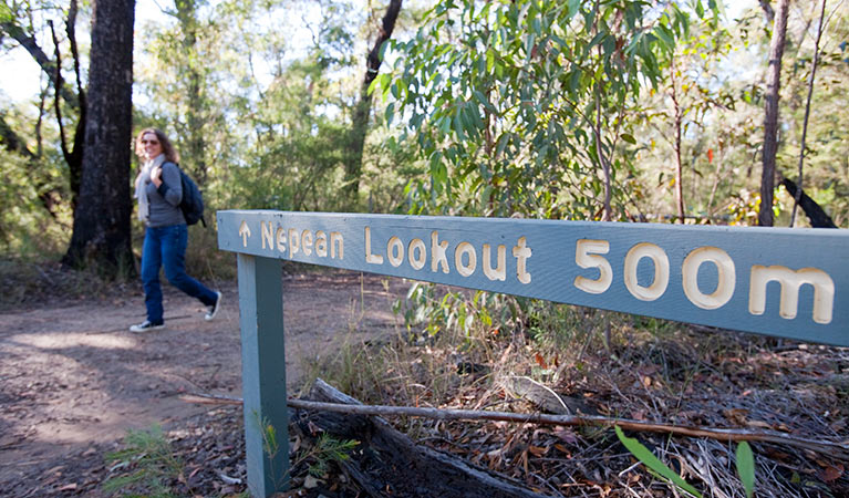 Nepean lookout