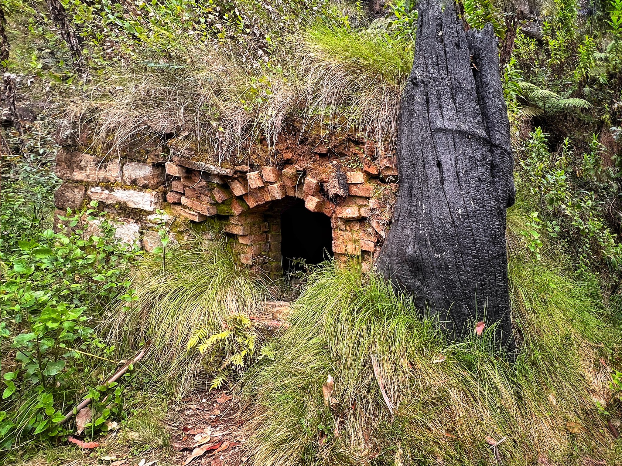 Asgard Mine Track