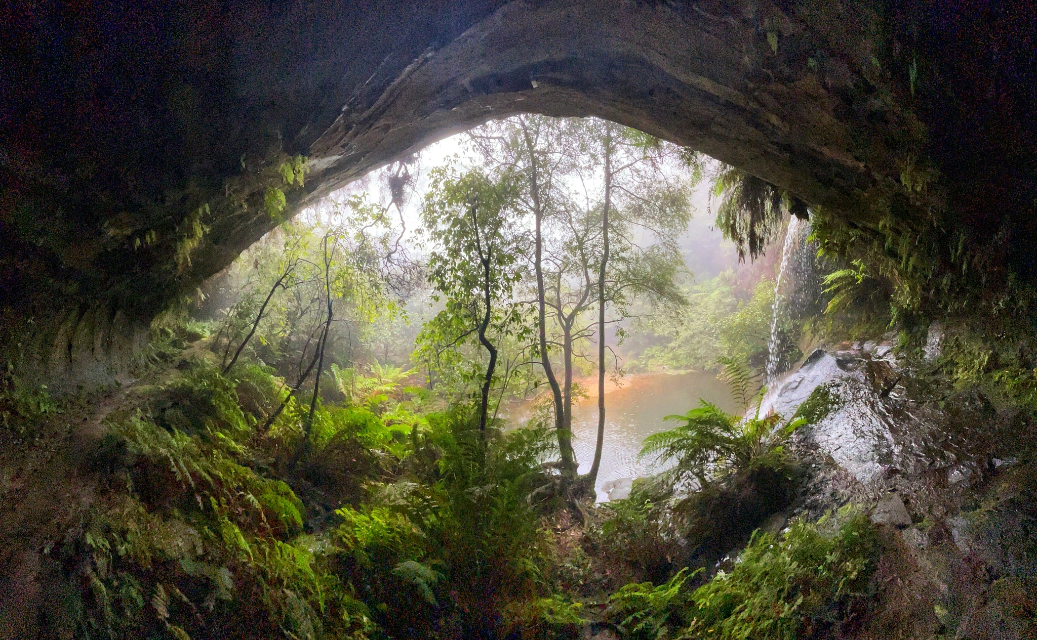 LOOP WALK - Pool of Siloam - Lyrebird Dell