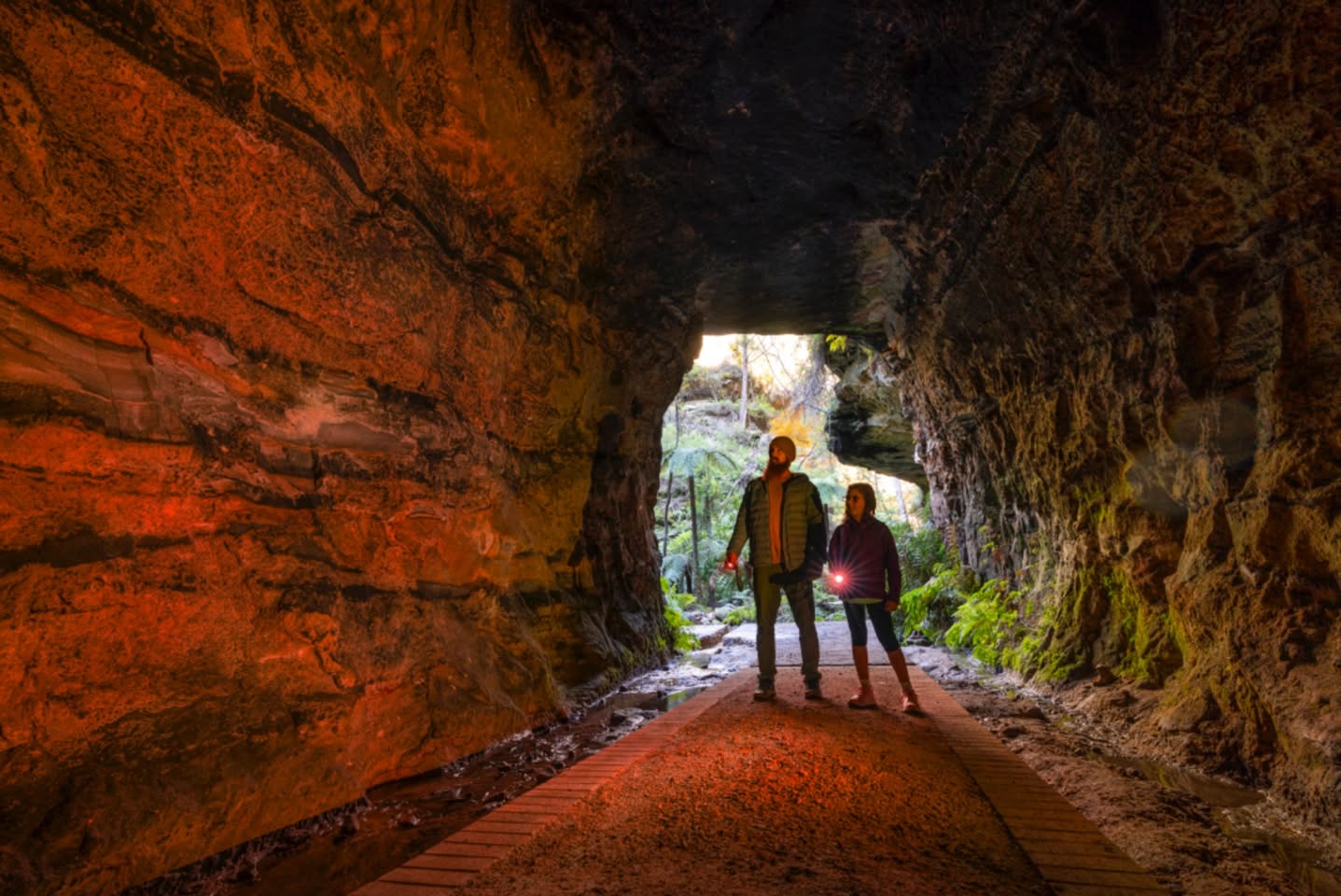 Glowworm Tunnel 