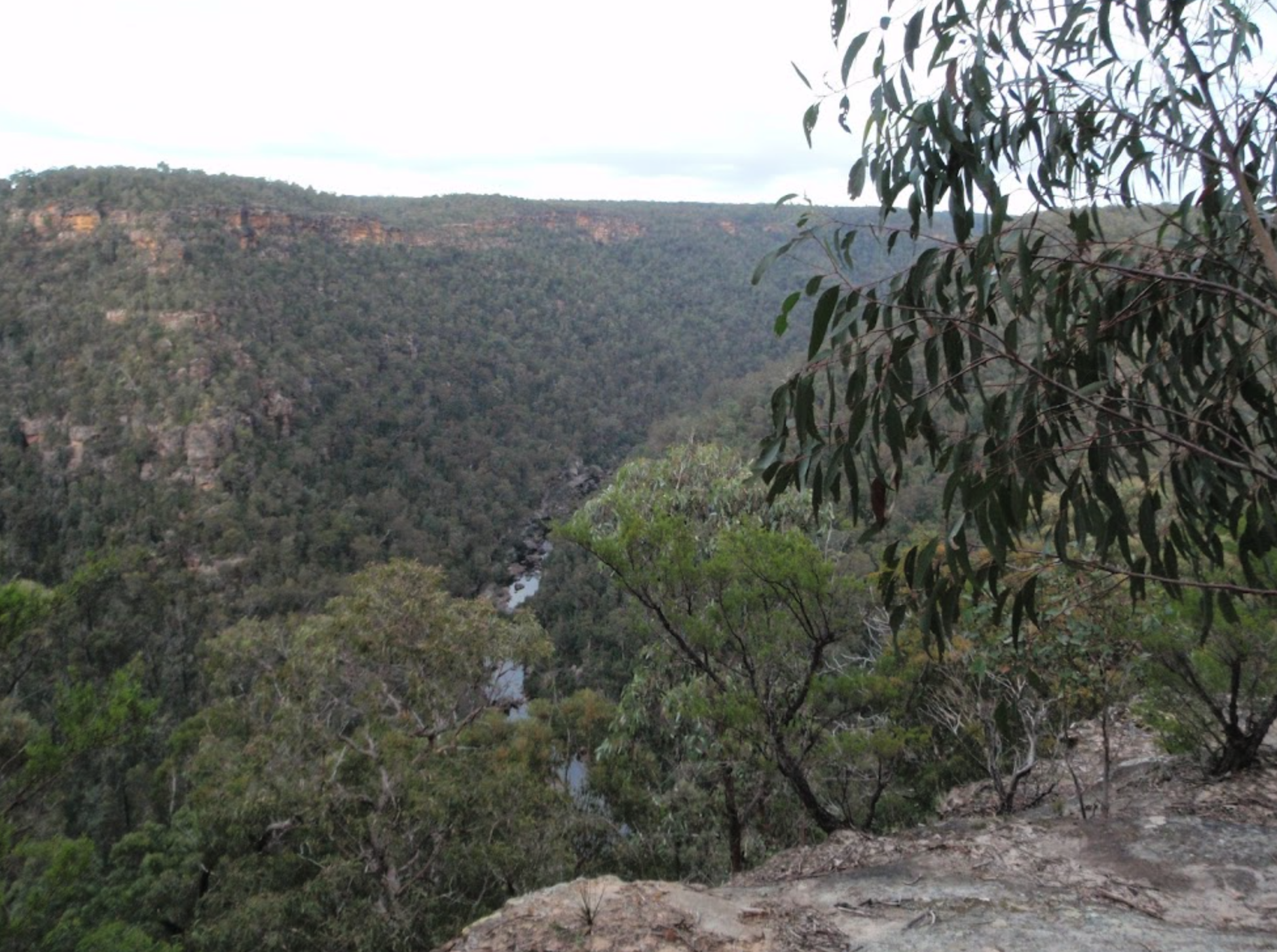 Pisgah Rock Walking Track