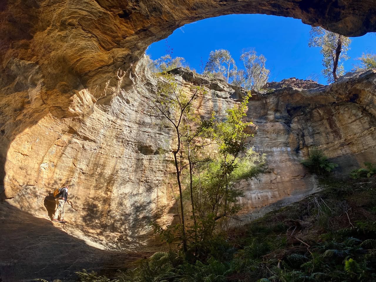 Dargan Arch