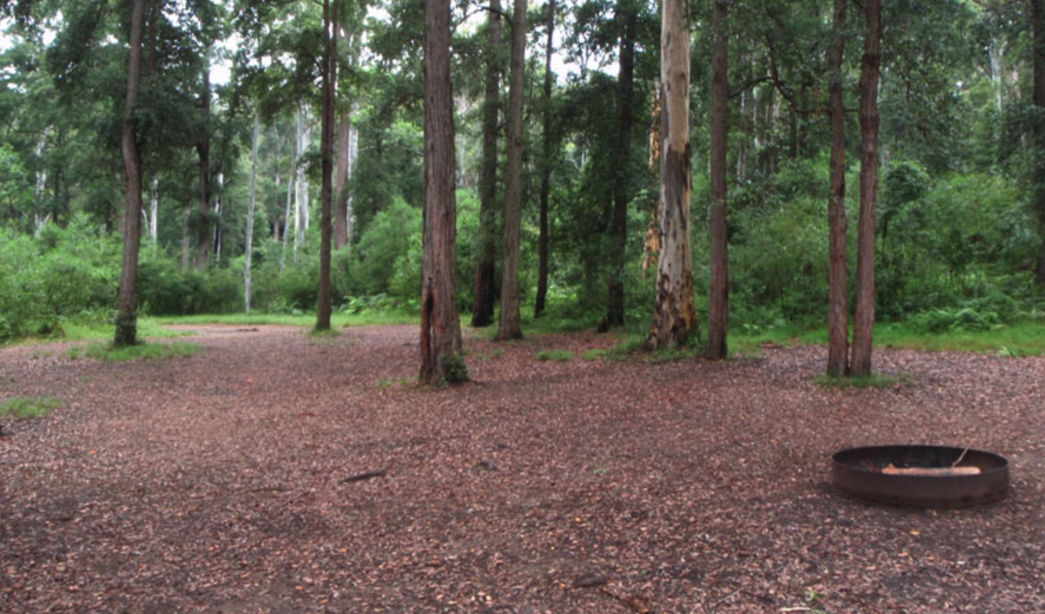 Murphys Glen Campground