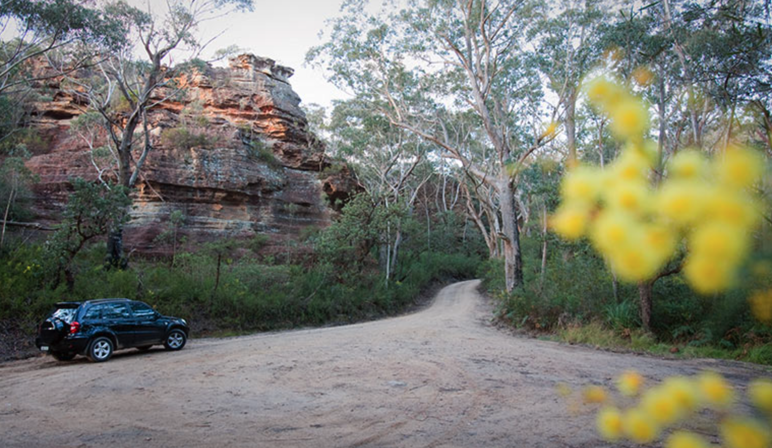 Pierces Pass Picnic Area