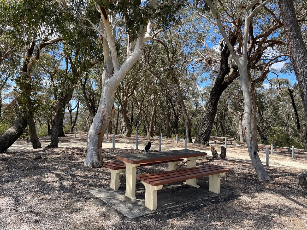 Mount Blackheath Picnic