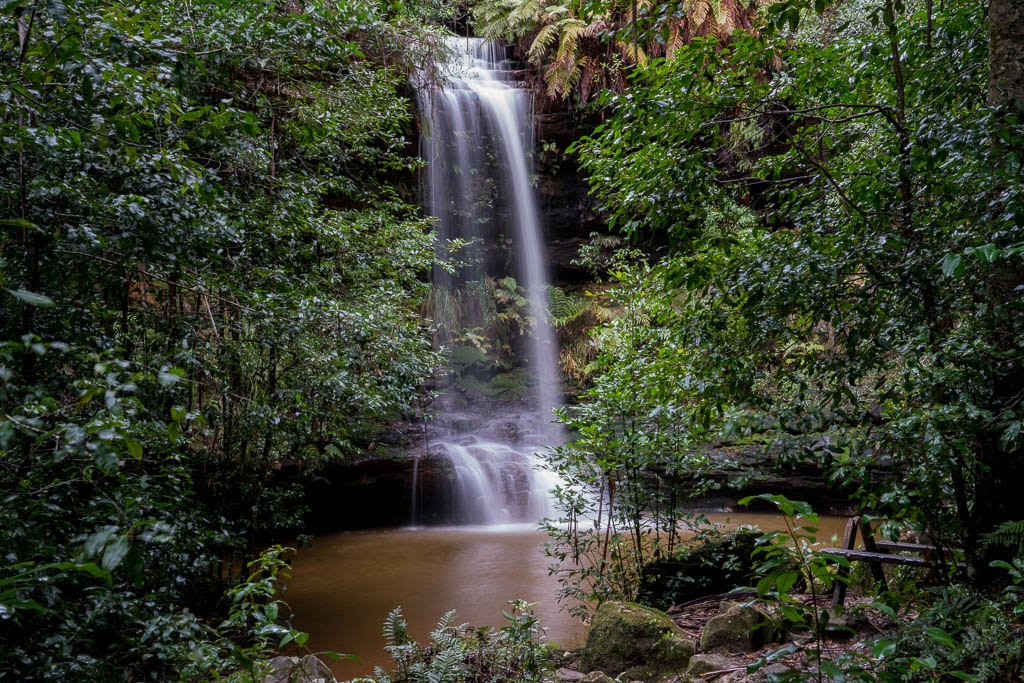 Dantes Glen Walking Track