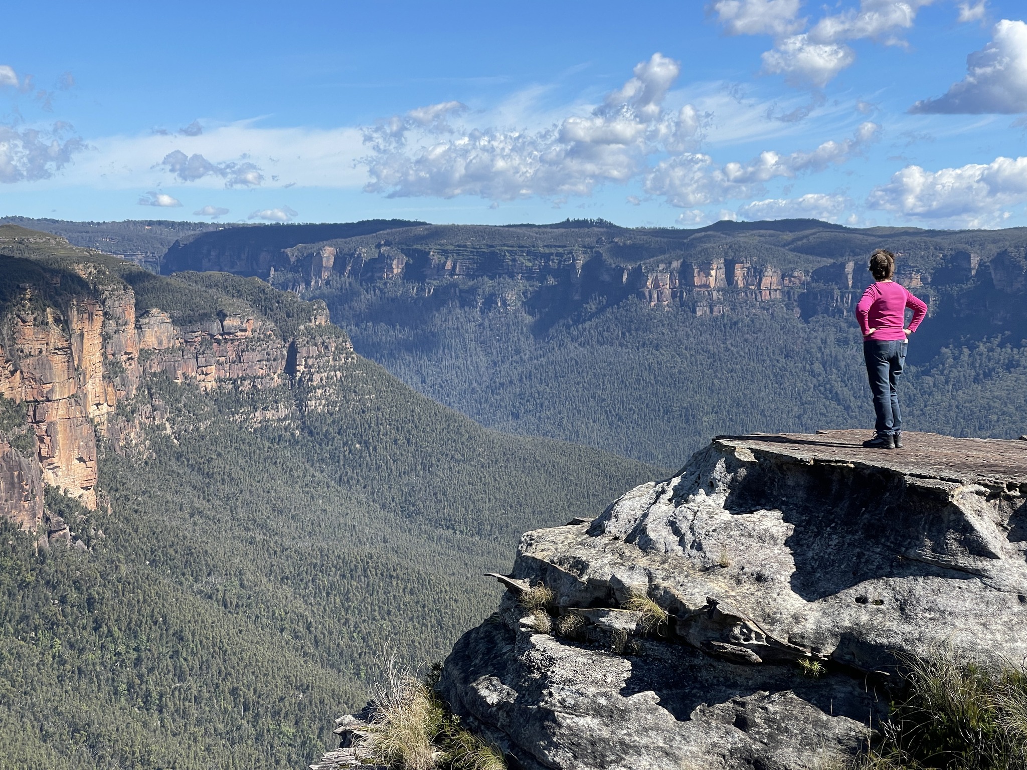 Butterbox Point - Leura