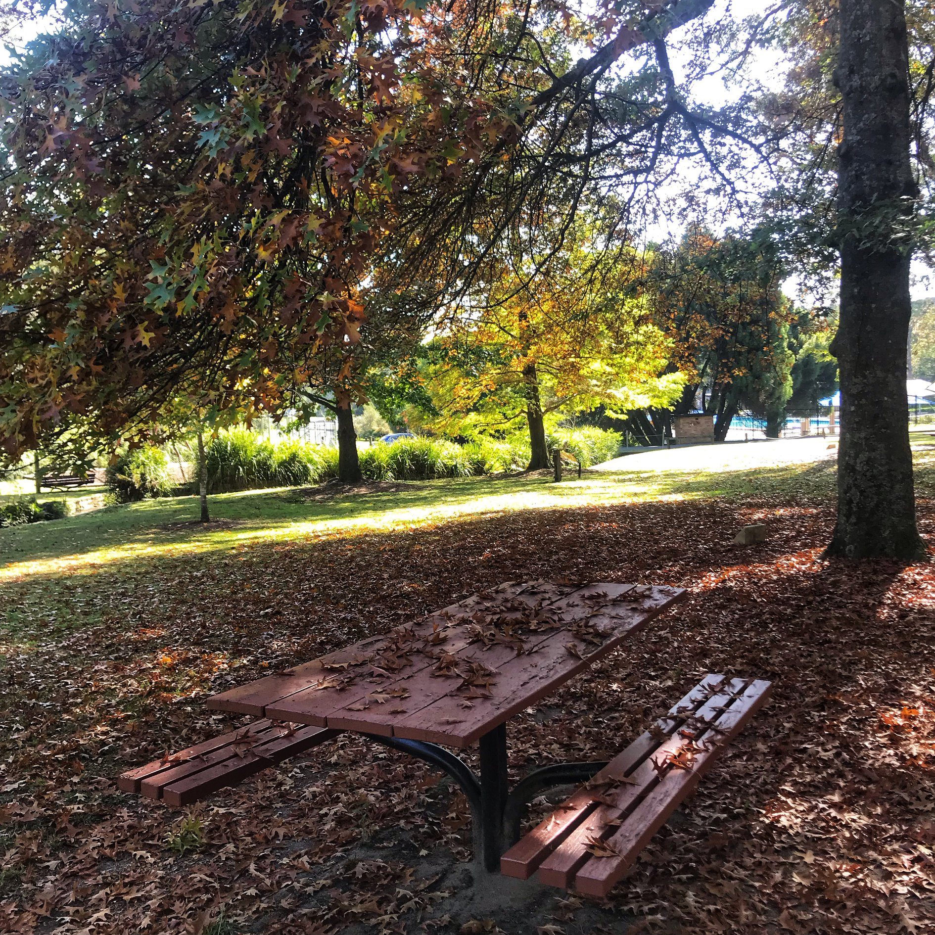 Wilson Park