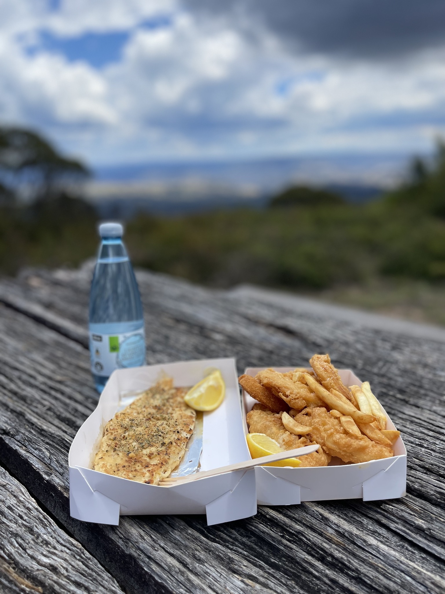 Large Picnic Table with a view