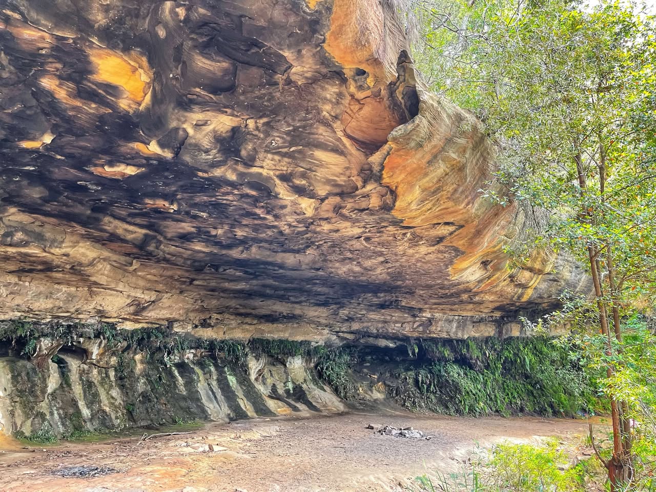 Kings Cave - Linden
