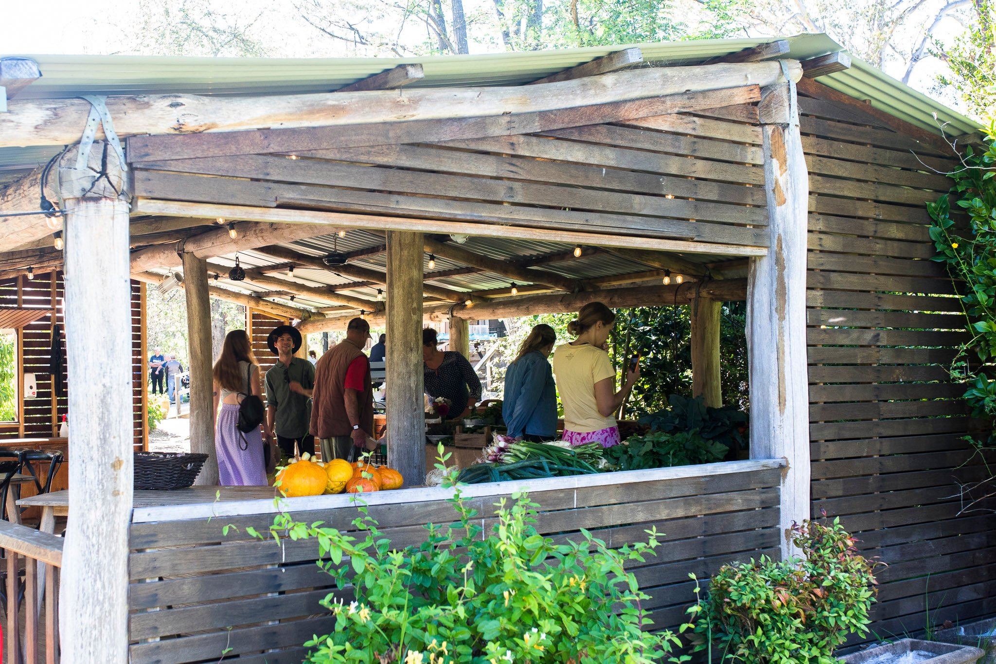 Lot 101 Farmgate  Market