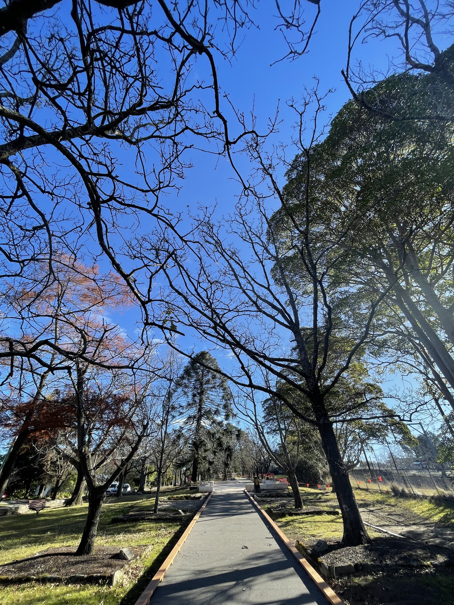 Corridor Of Oaks Park