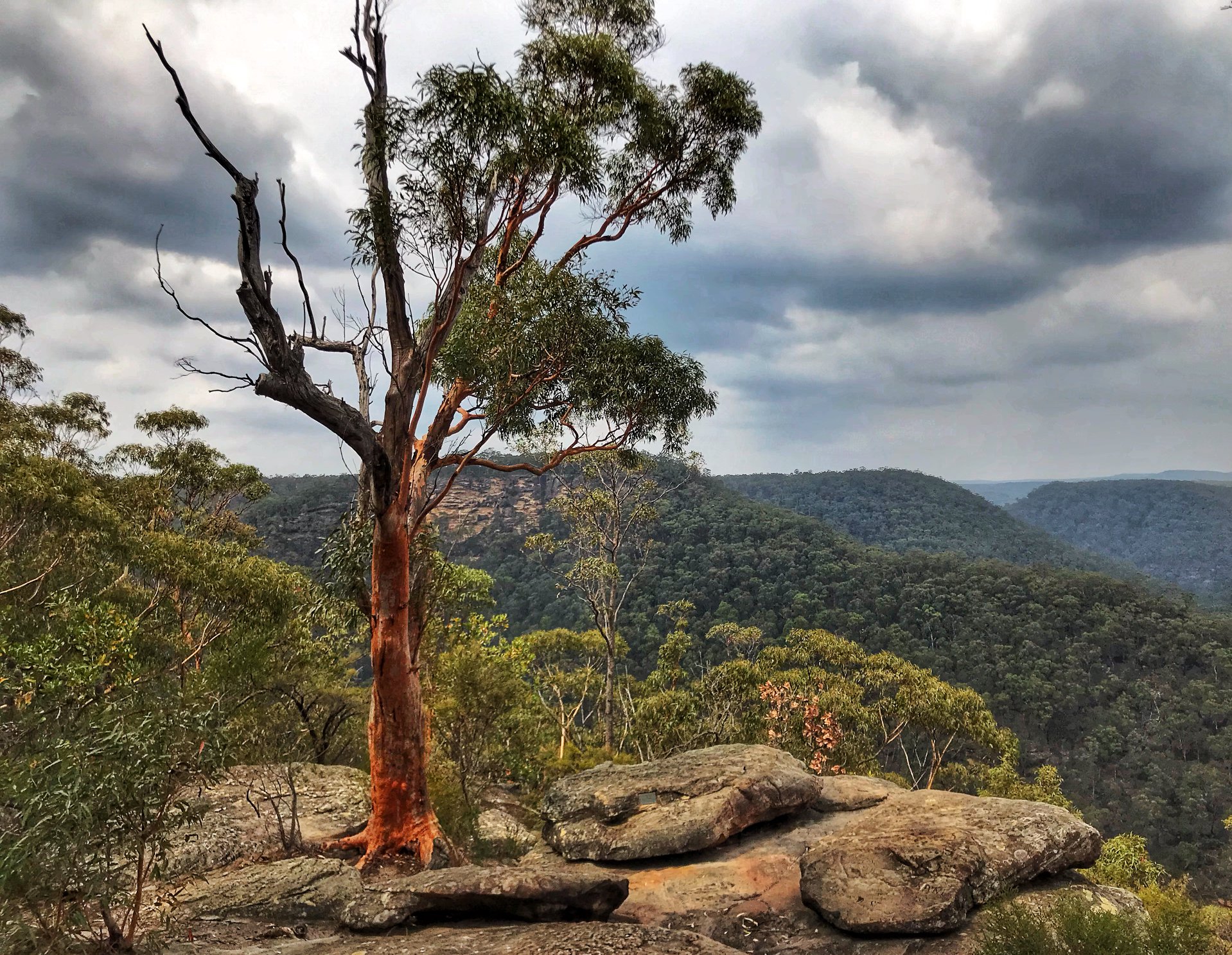 Martins Lookout Trail