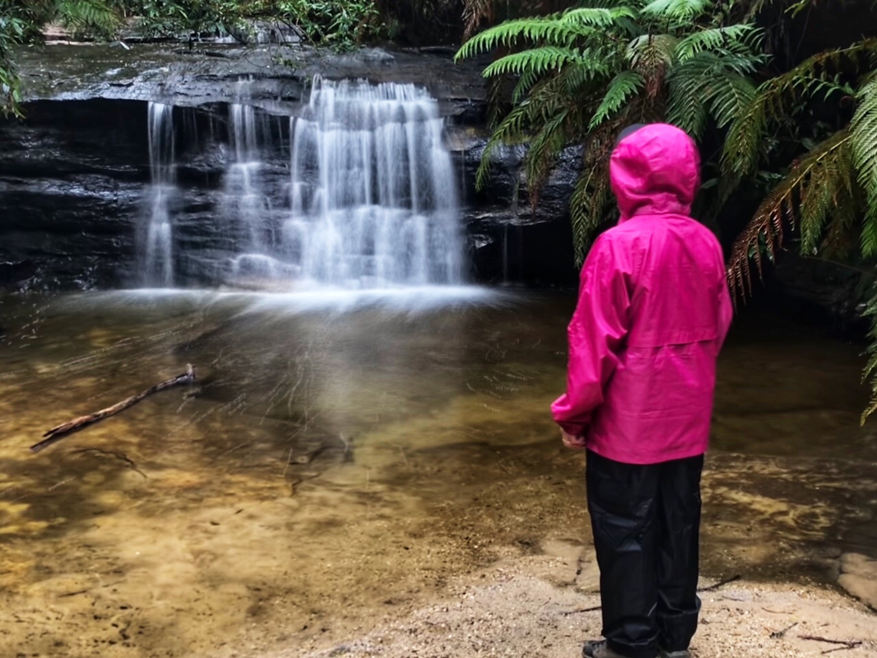 South Lawson Waterfall Circular Walking Track