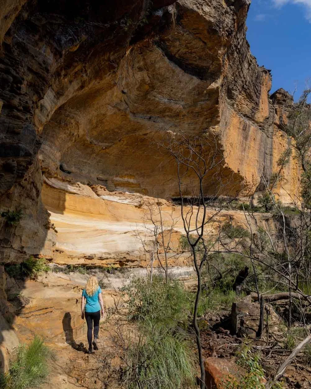 Pheasants cave