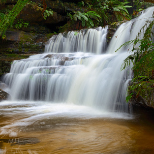 Terrace Falls Reserve Walking Track