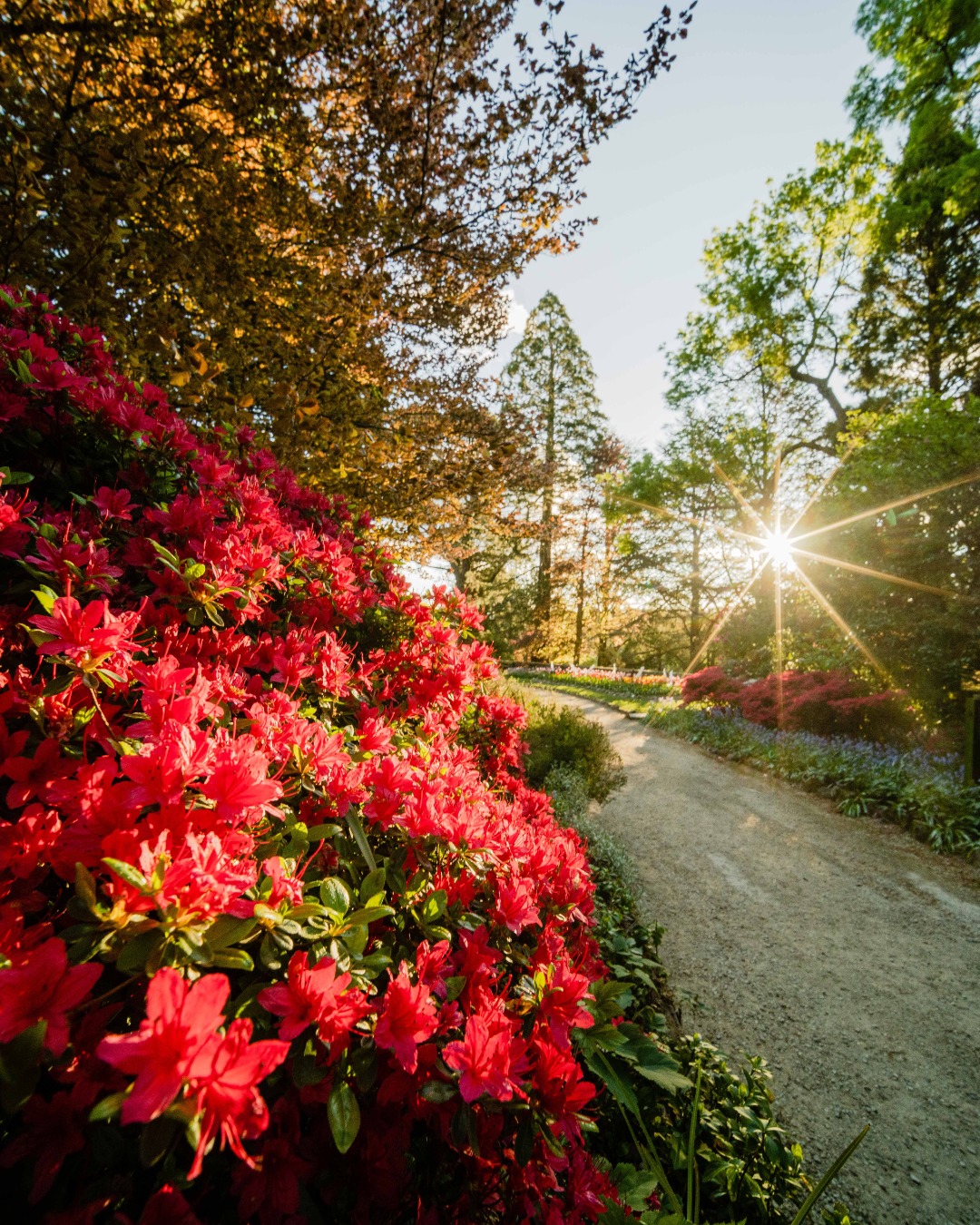 Everglades House & Gardens