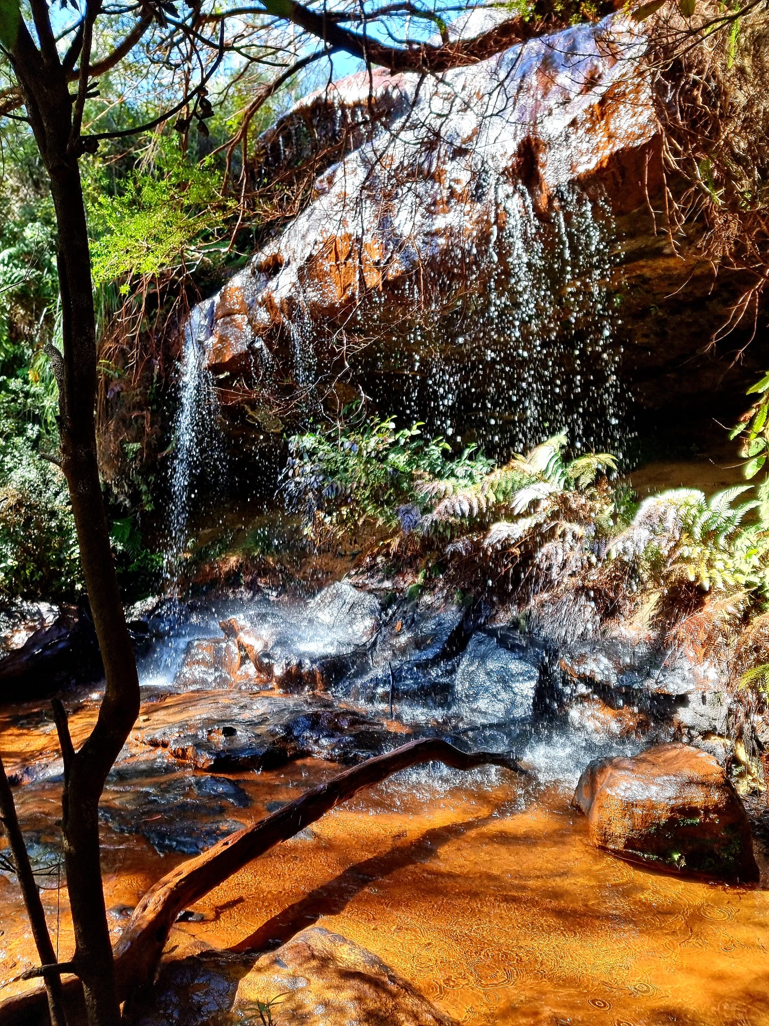 Fairy Falls