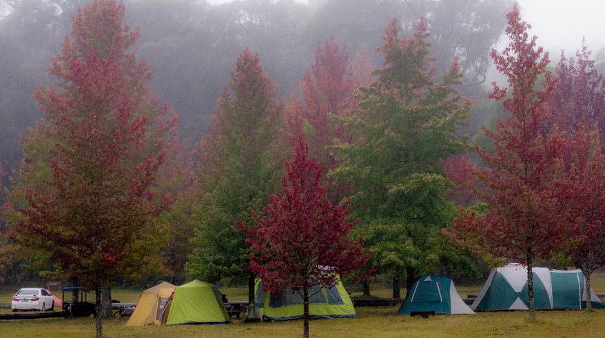 Cathedral Reserve Camping Grounds