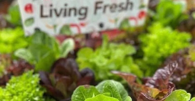 Blackheath growers market