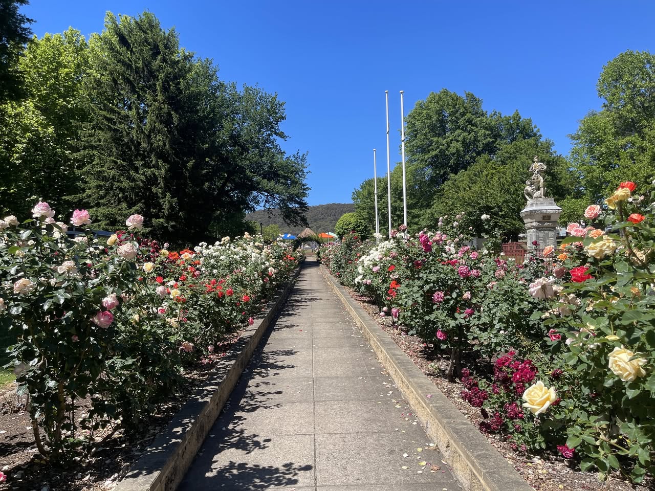 Queen Elizabeth Park