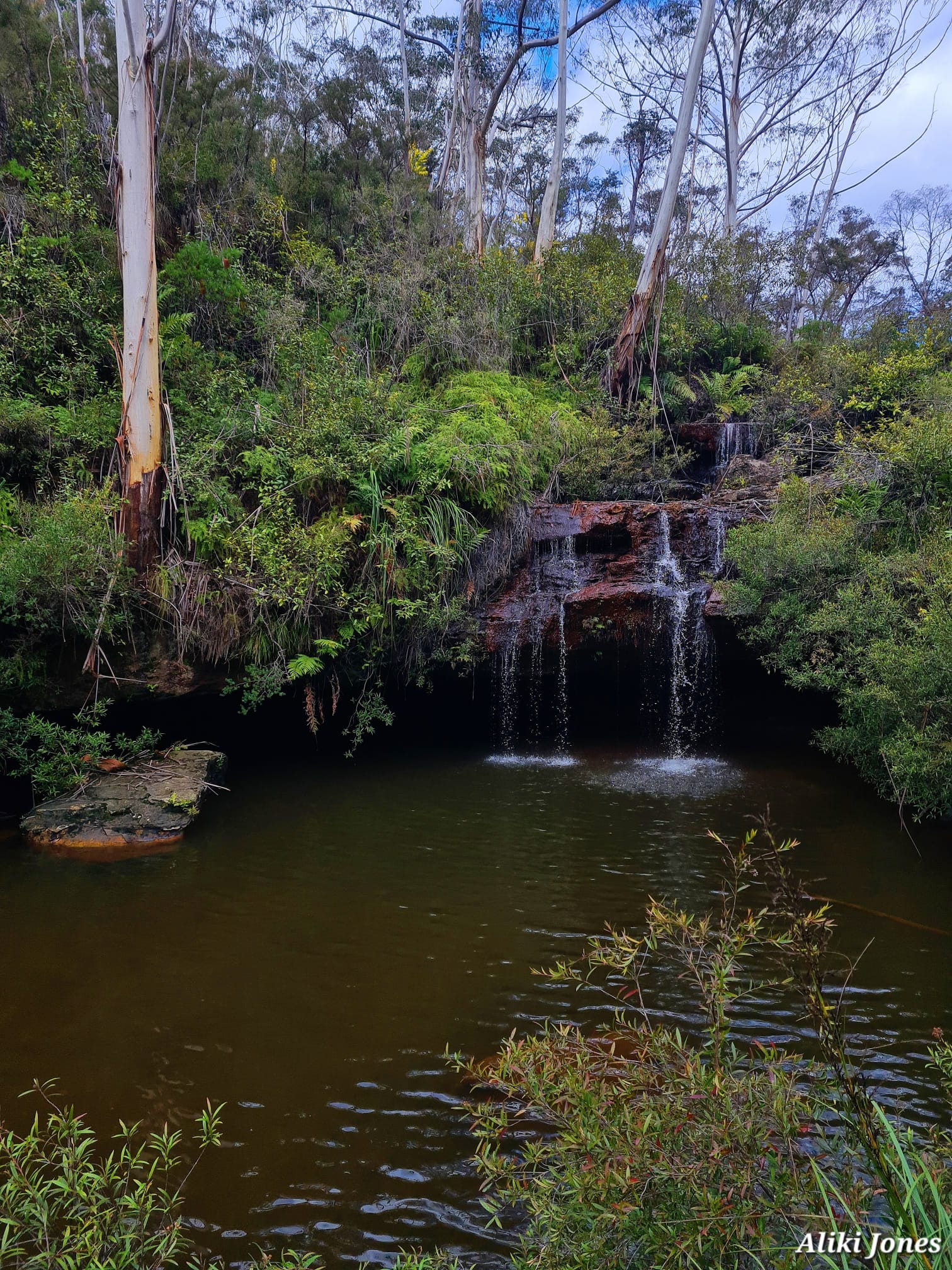 Frederica Falls