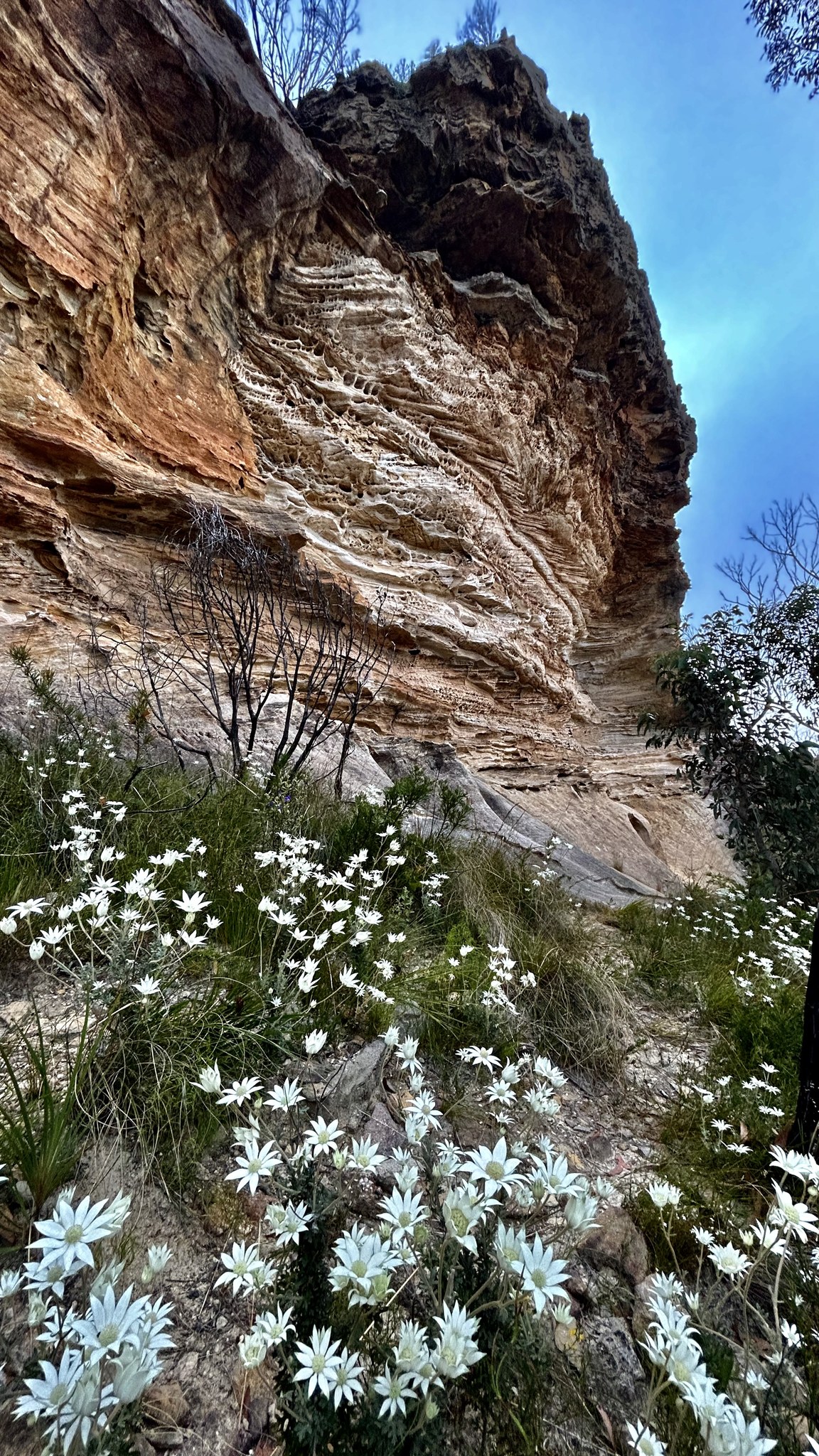 Wind Eroded Cave