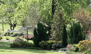 Buttenshaw  Park