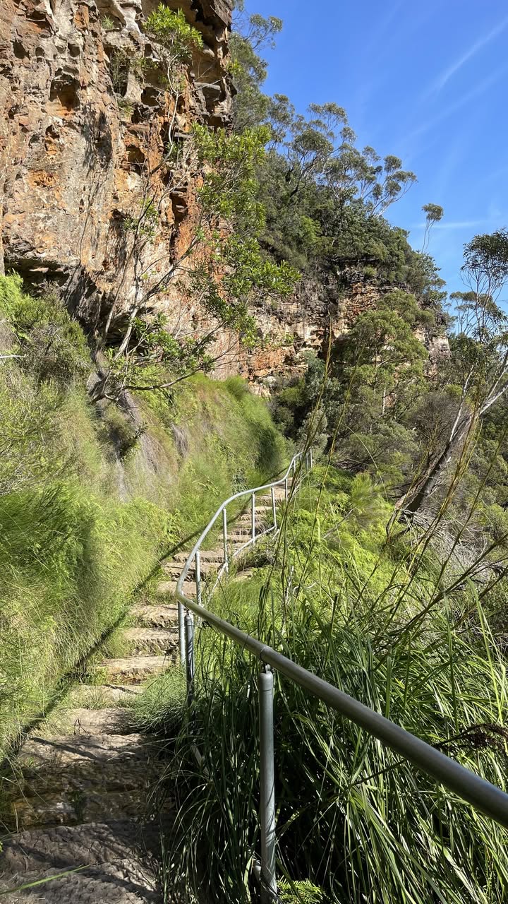 Overcliff Walk
