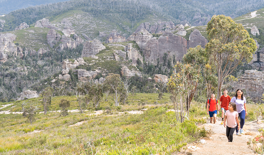 Lost City Trail Head