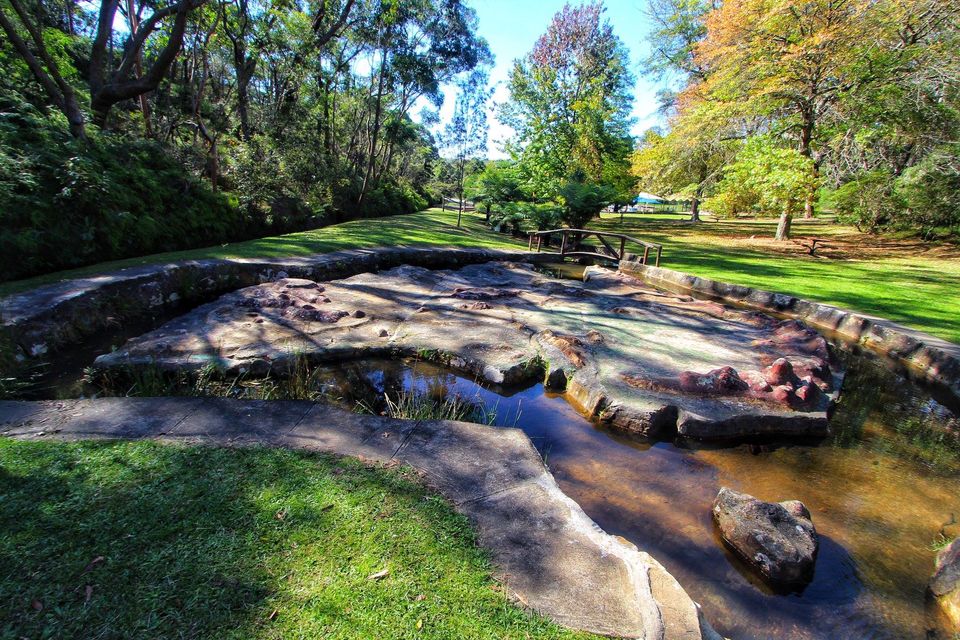 Wilson Park Lawson