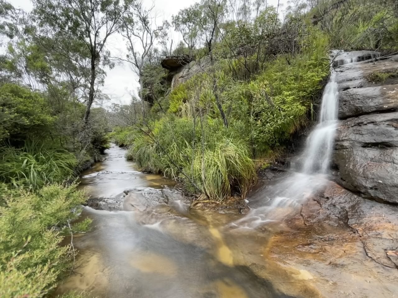 Braeside Track