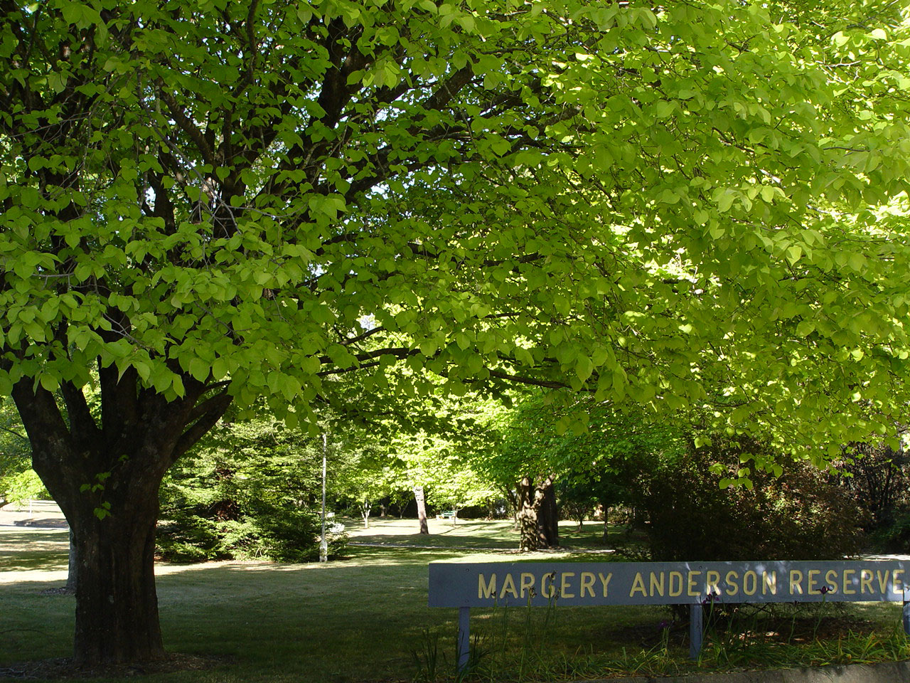 Margery Anderson Reserve