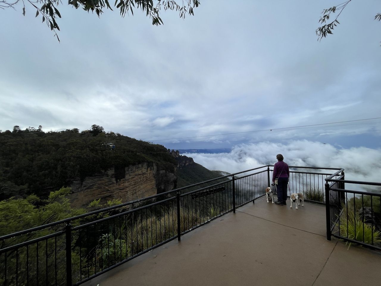 Reids Plateau Lookout