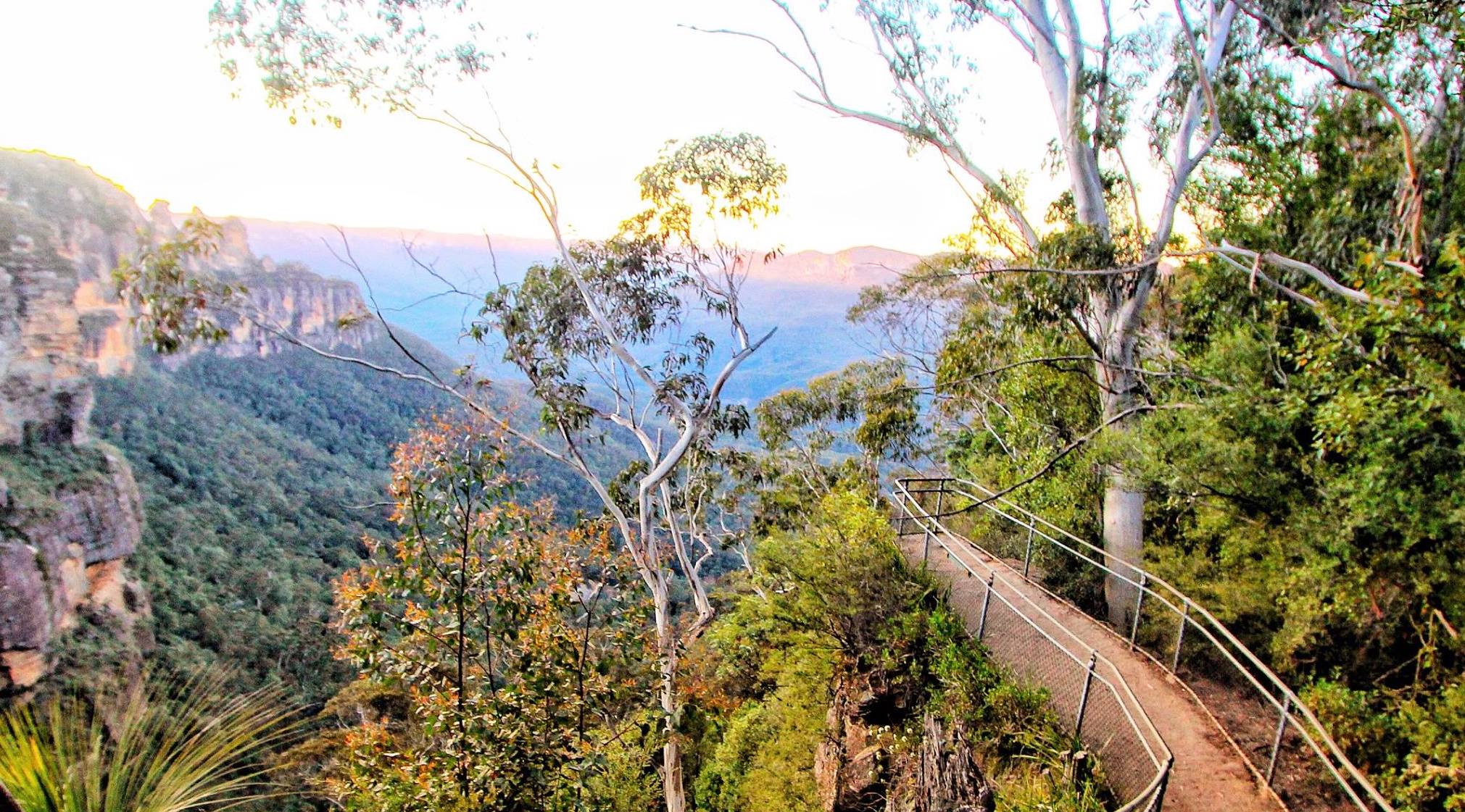 Vaniman's Lookout