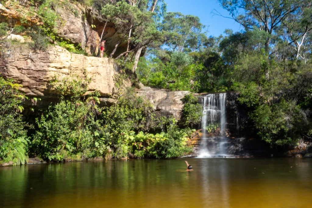 Paradise Pool